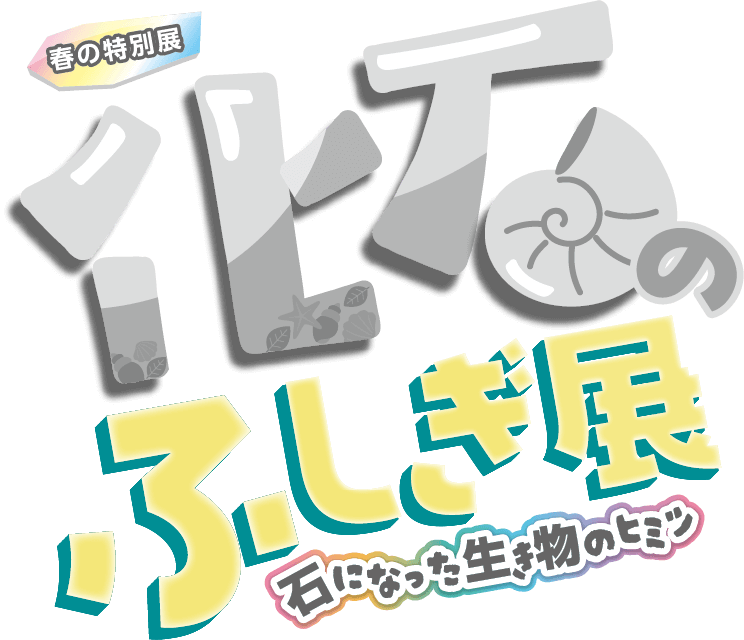 化石のふしぎ展