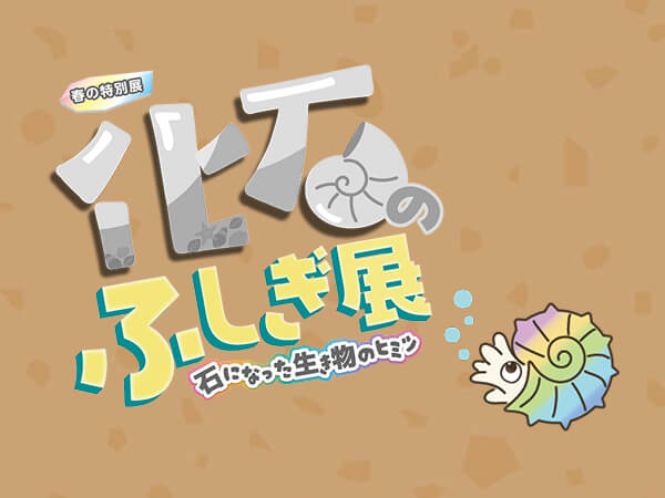「化石のふしぎ展」特設サイトを公開しました！