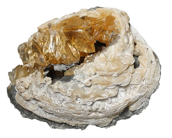 内部にきれいな鉱物ができた貝化石